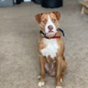 Meet your Posher, Kima